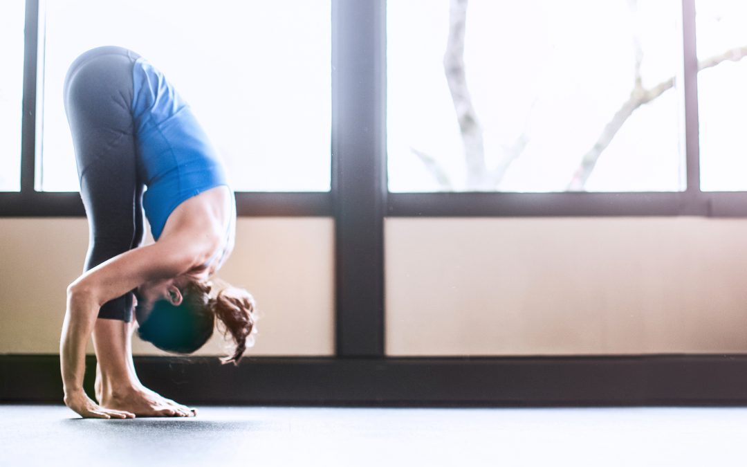 Yoga Basic