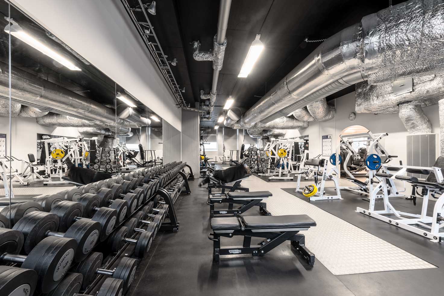 fitness 24 västerås fitness 24 västerås