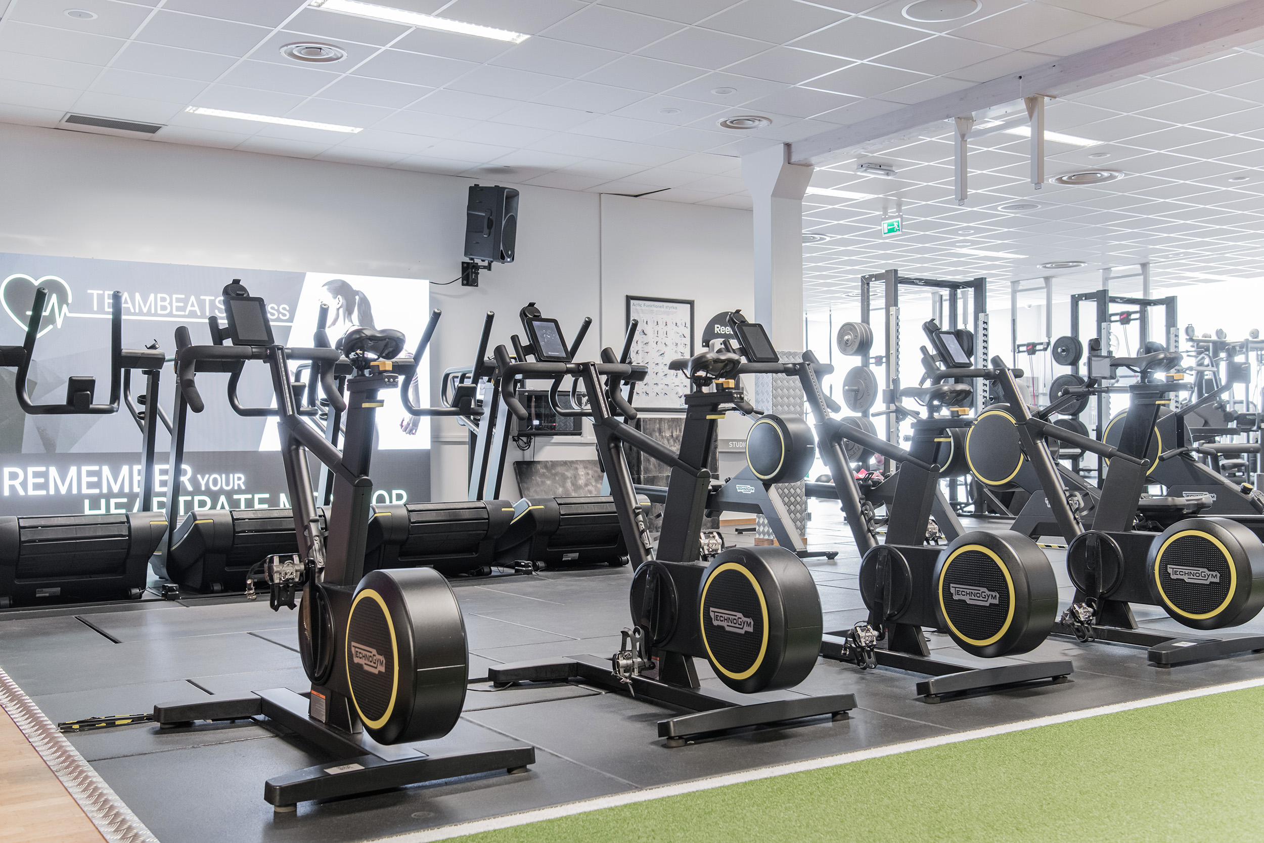Bild över cardiopark med cyklar och löpband